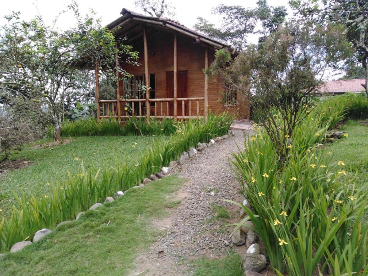 Estancia La Colina 산토 도밍고 데 로스 콜로라도스 외부 사진