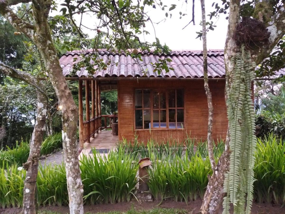 Estancia La Colina 산토 도밍고 데 로스 콜로라도스 외부 사진