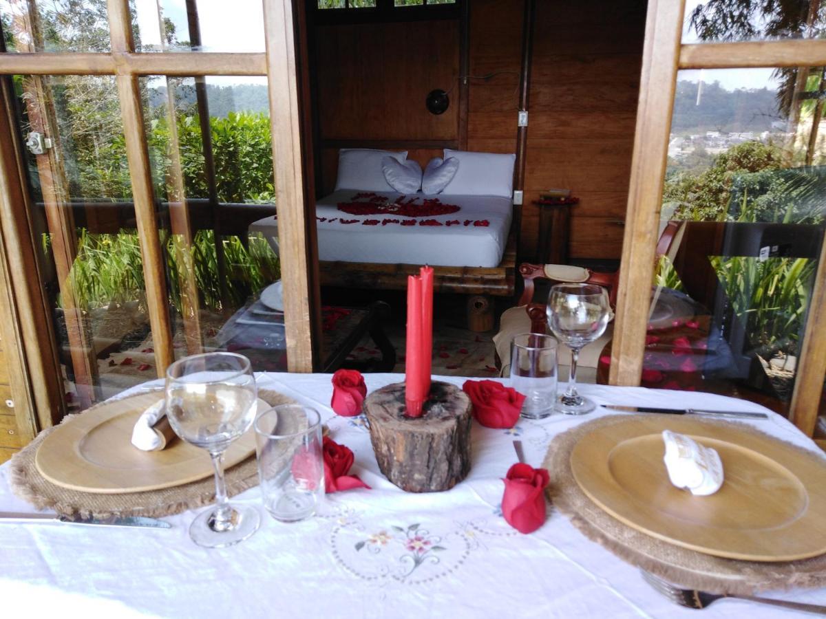 Estancia La Colina 산토 도밍고 데 로스 콜로라도스 외부 사진