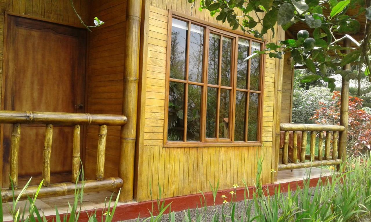 Estancia La Colina 산토 도밍고 데 로스 콜로라도스 외부 사진