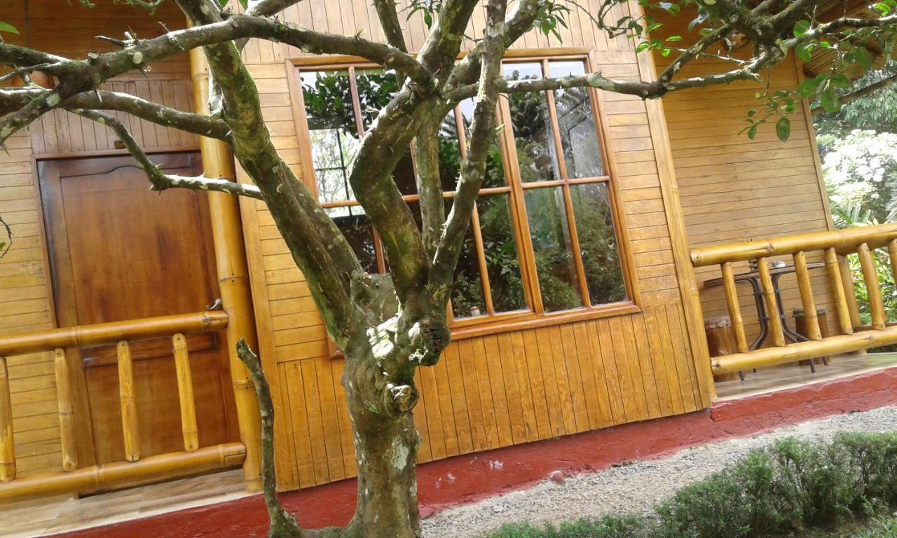 Estancia La Colina 산토 도밍고 데 로스 콜로라도스 외부 사진